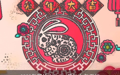 2023年属什么生肖 是什么年五行