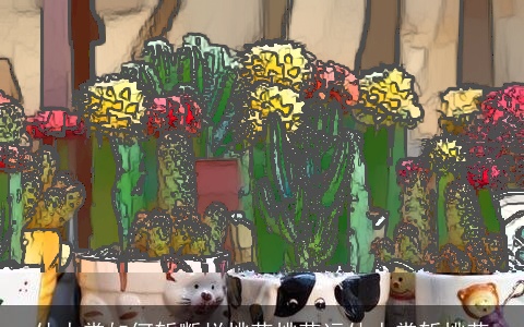 仙人掌如何斩断烂桃花桃花运仙人掌斩桃花