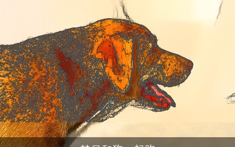 梦见和狗一起跑