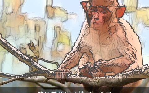 梦见养的猴子被别人杀了