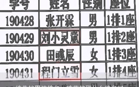 姓苗的男孩姓名，姓苗的取什么姓名好