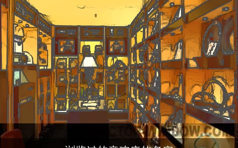 浏览过的音响店的名字