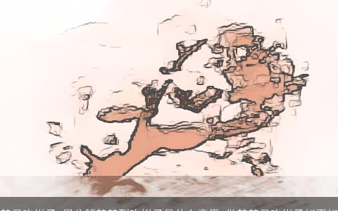 梦见吃柑子_周公解梦梦到吃柑子是什么意思_做梦梦见吃柑子好不好