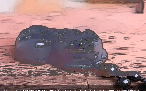 什么属相带貔貅好最成功(什么属相的可以带貔貅)