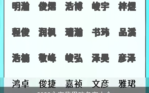 2023永字辈男孩名字大全