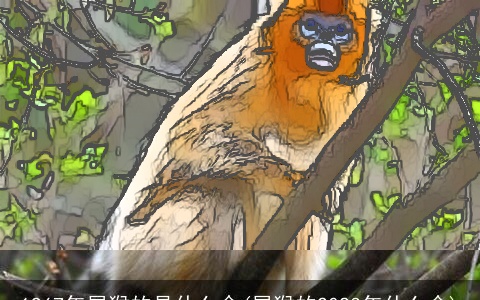 1967年属猴的是什么命(属猴的2023年什么命)