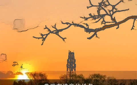 典雅有诗意的姓名