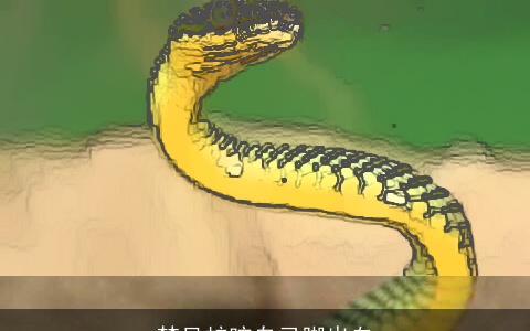 梦见蛇咬自己脚出血