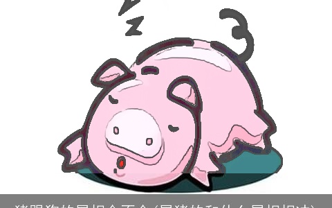 猪跟狗的属相合不合(属猪的和什么属相相冲)