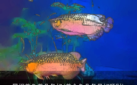 属相养鱼养几条好(养金鱼几条最好旺财)