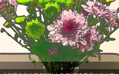 全国最有名的花店叫什么名字(花店最受欢迎的花)