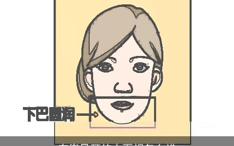 有兜风耳的人面相怎么样