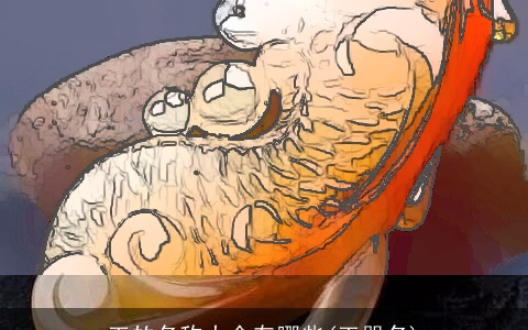 玉的名称大全有哪些(玉器名)