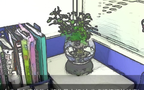 办公桌上摆放什么植物风水好(办公桌绿植摆放讲究)