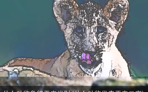 什么动物象征平安发财(什么动物代表平安二字)