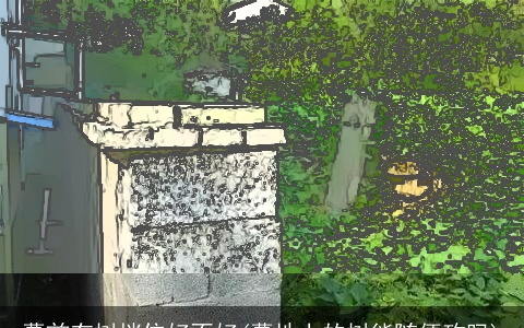 墓前有树挡住好不好(墓地上的树能随便砍吗)