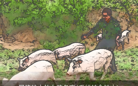 属猪缺木的女孩名字(五行缺金缺木)