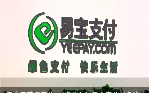 三个字带海字公司(海开头的三个字公司名称)