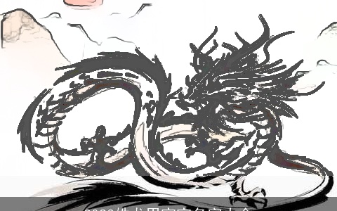 2023姓龙男宝宝名字大全