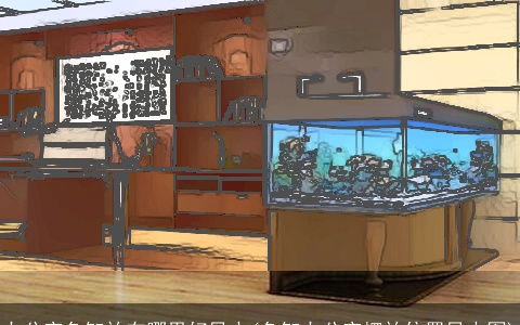 办公室鱼缸放在哪里好风水(鱼缸办公室摆放位置风水图)