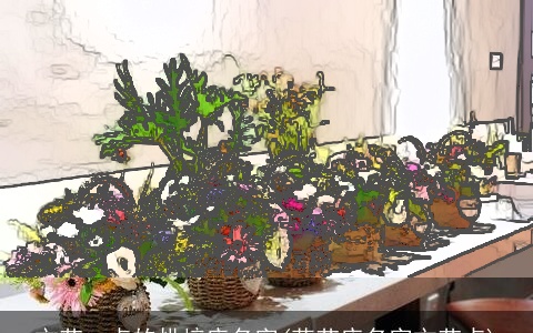 文艺一点的烘焙店名字(花艺店名字文艺点)