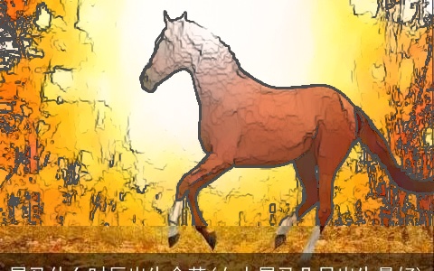 属马什么时辰出生命苦(女人属马几日出生最好)