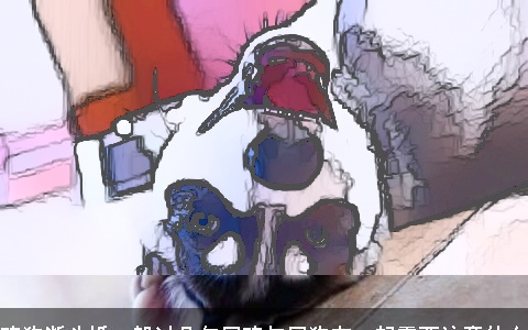 鸡狗断头婚一般过几年属鸡与属狗在一起需要注意什么