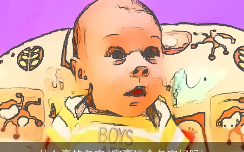 什么豪的名字(家豪这个名字好吗)