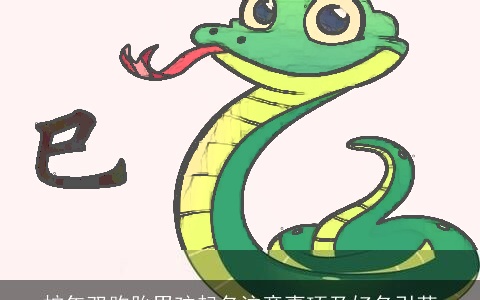 蛇年双胞胎男孩起名注意事项及好名引荐