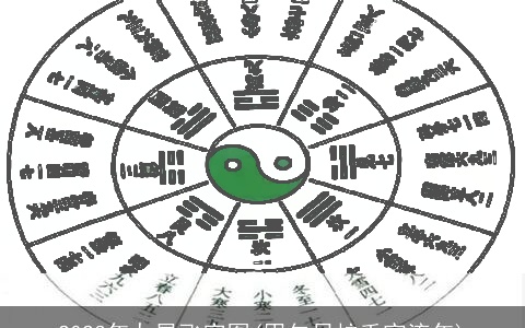 2023年九星飞宫图(甲午日柱壬寅流年)