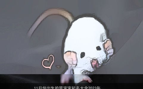 11月份出生的鼠宝宝起名大全2023年款 包罗万象 好听吉利的鼠宝宝名字筛选