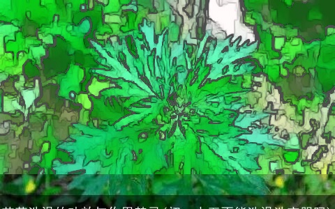 艾草洗澡的功效与作用禁忌(初一十五不能洗澡洗衣服吗)