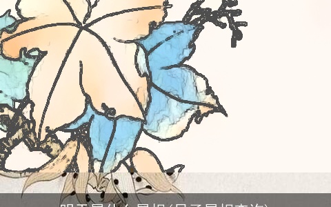 明天属什么属相(日子属相查询)