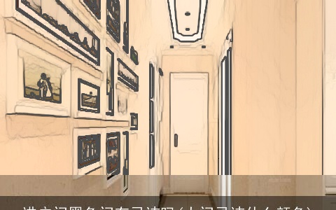 进户门黑色门有忌讳吗(大门忌讳什么颜色)