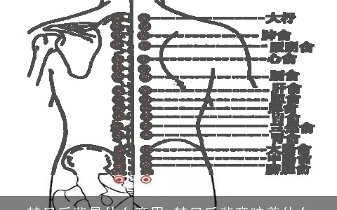 梦见后背是什么意思 梦见后背意味着什么