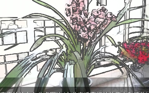 富贵竹放在办公桌哪边(办公室适宜摆放的花卉和植物)