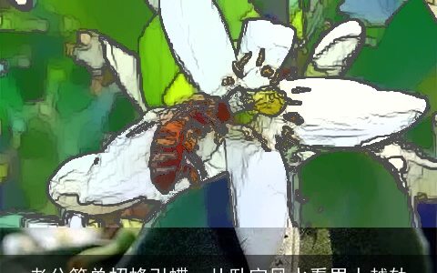 老公简单招蜂引蝶，从卧室风水看男人越轨