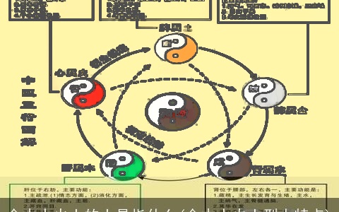 金木水火土的土是指什么(金木水火土型人特点)