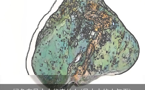 绿色在风水中代表什么(风水中的土与石)