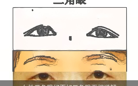 女性三角眼好不好三角眼面相详解
