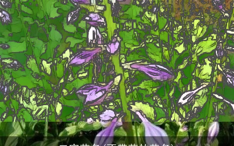 二字花名(不带花的花名)