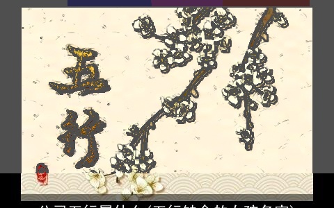 公司五行属什么(五行缺金的女孩名字)