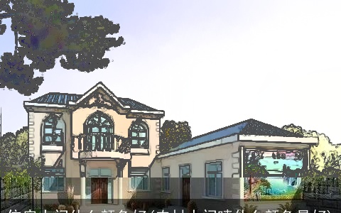 住房大门什么颜色好(农村大门喷什么颜色最好)