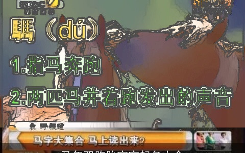 马年双胞胎宝宝起名大全