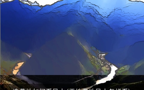 选墓地如何看风水(平地墓地风水怎样看)