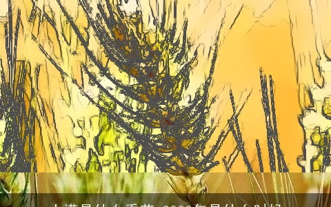 小满是什么季节 2023年是什么时候