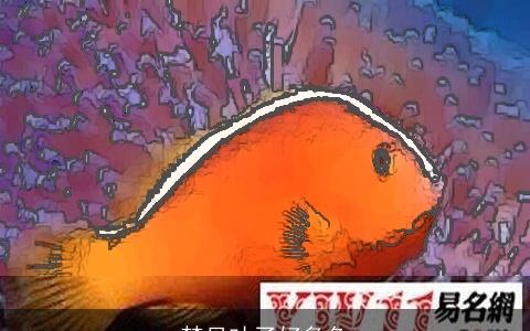 梦见吐了好多鱼