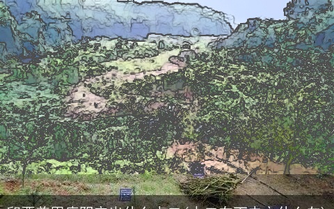 卯酉兼甲庚阴宅出什么水口(水口在丁未立什么向)