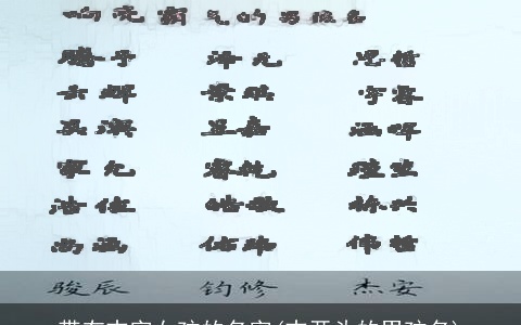 带有志字女孩的名字(志开头的男孩名)