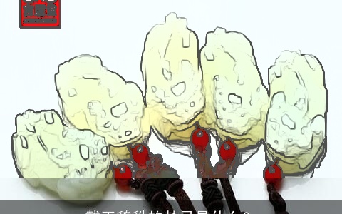 戴玉貔貅的禁忌是什么？